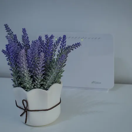 Apartament Luka *