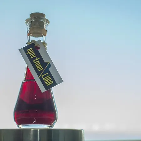 Luka * 马卡尔斯卡